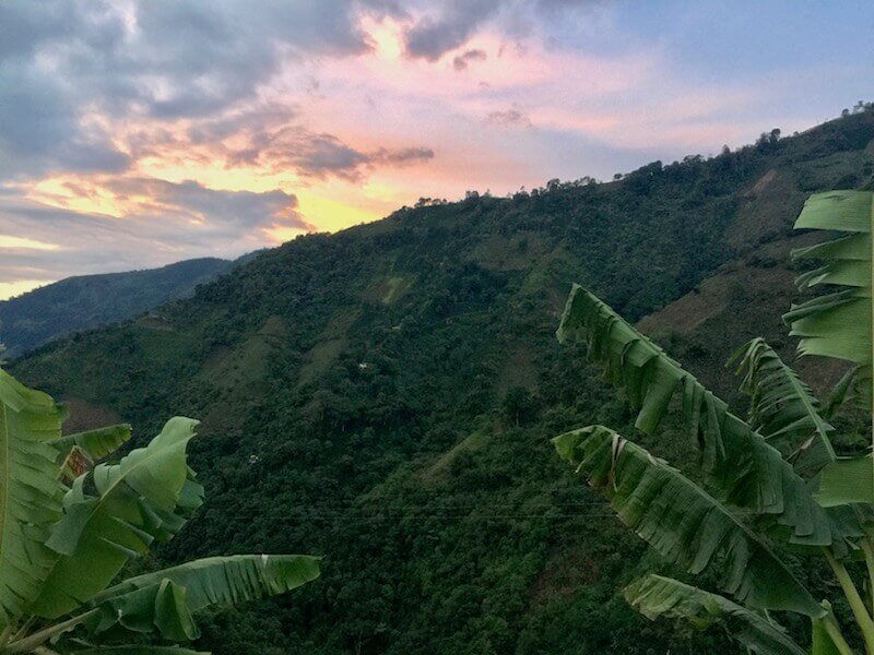 Kaka'hi'aka Blend